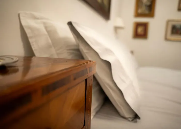 Ca Zulian - Grand Canal * Venedig